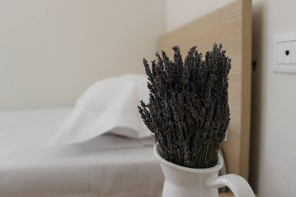 Lavandula Ring Tirana Exterior foto